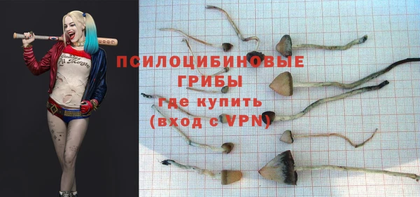 а пвп мука Горняк