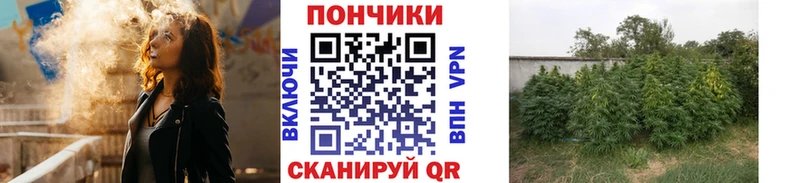 МАРИХУАНА THC 21%  Купить закладки  Одинцово 